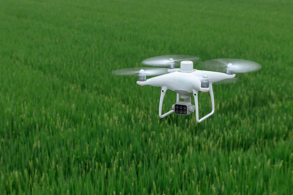 «Умное» или «Точное» земледелие c дроном DJI P4 Multispectral